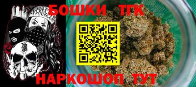 тгк Обь