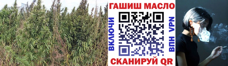 ТГК концентрат  где купить наркоту  Тавда 