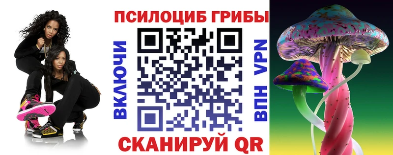 Псилоцибиновые грибы Magic Shrooms  Тавда 