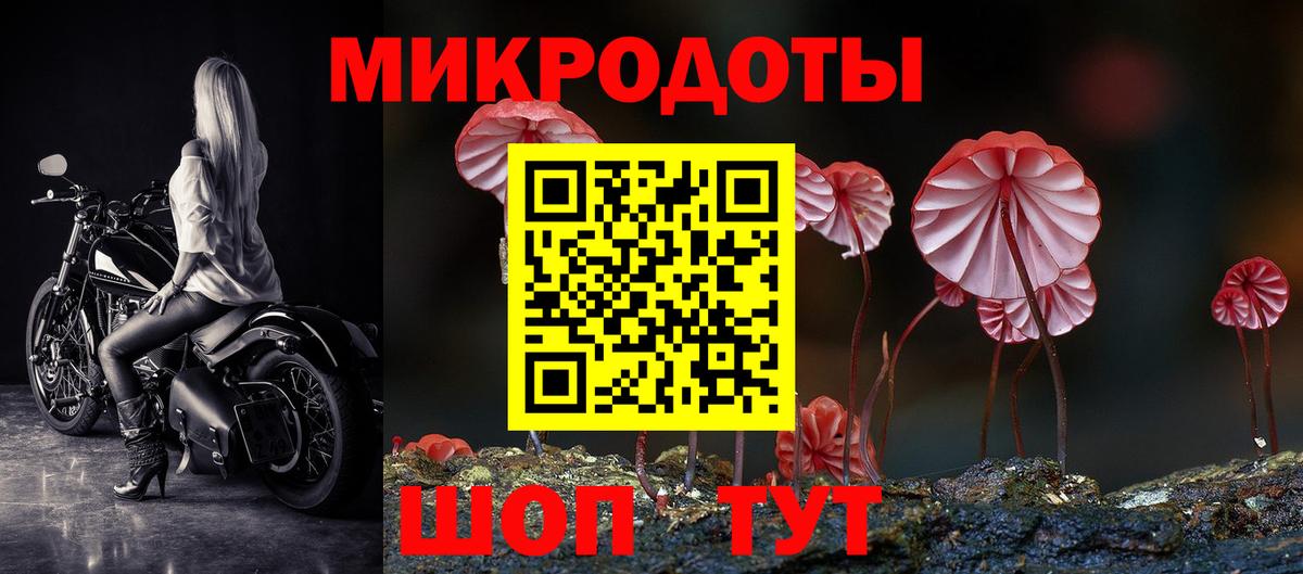 Тавда  Псилоцибиновые грибы Cubensis  Вход с VPN  Псилоцибиновые грибы мицелий 
