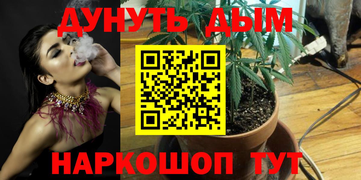 Бошки Шишки конопля Тавда